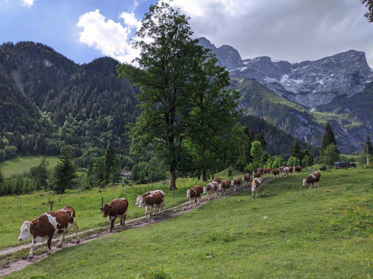 Готель Bio Bauernhof Vorderoberlehen Верфенвенг Екстер'єр фото