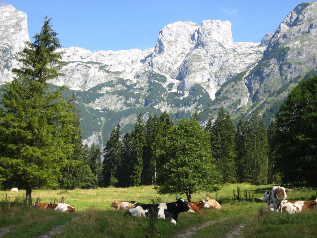Готель Bio Bauernhof Vorderoberlehen Верфенвенг Екстер'єр фото