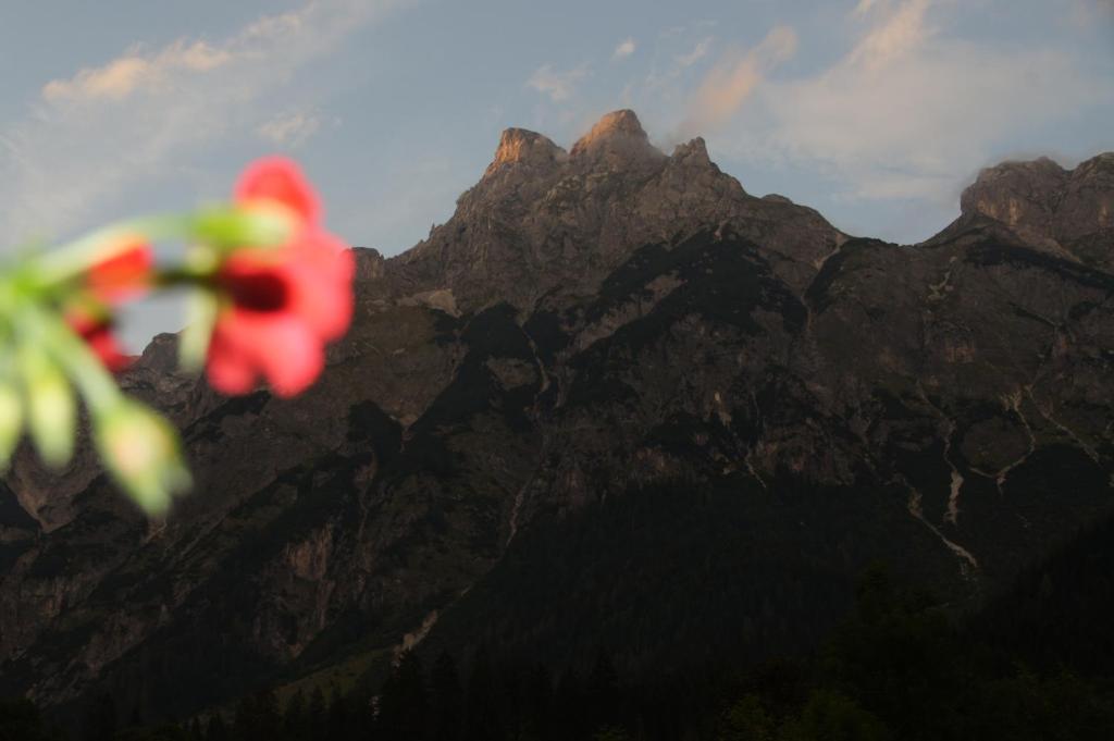 Готель Bio Bauernhof Vorderoberlehen Верфенвенг Екстер'єр фото