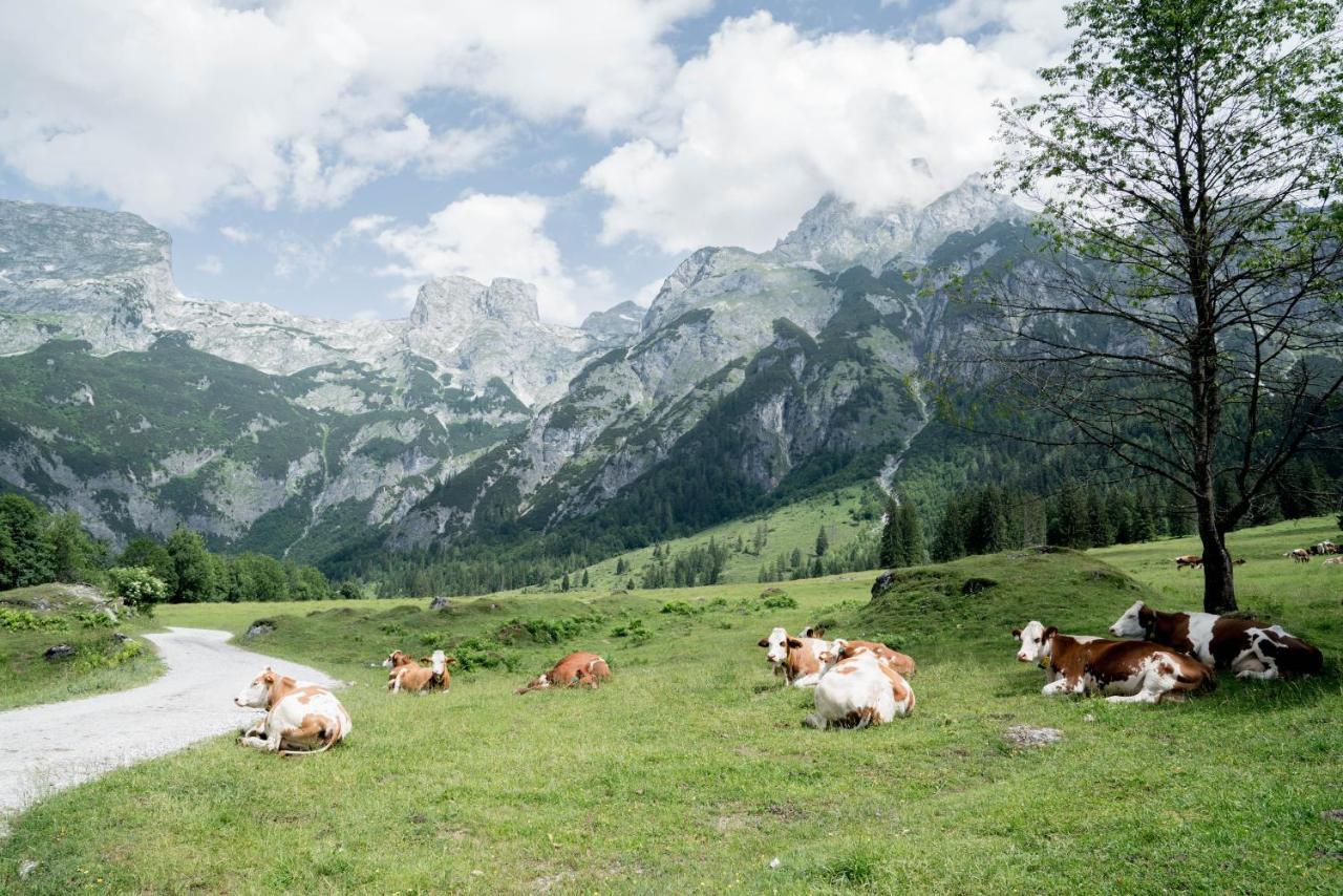 Готель Bio Bauernhof Vorderoberlehen Верфенвенг Екстер'єр фото