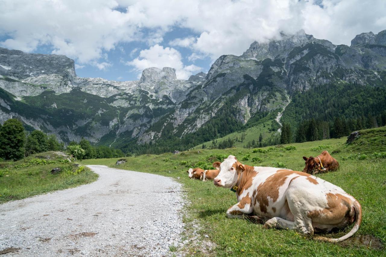 Готель Bio Bauernhof Vorderoberlehen Верфенвенг Екстер'єр фото